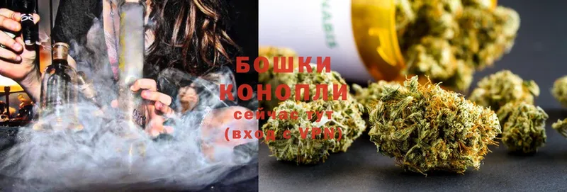 Конопля White Widow  купить наркотик  Курганинск 